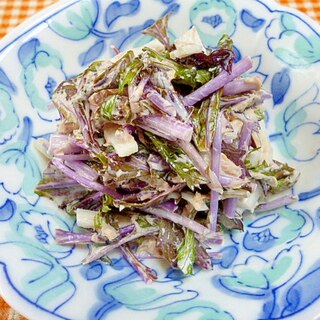赤水菜サラダ